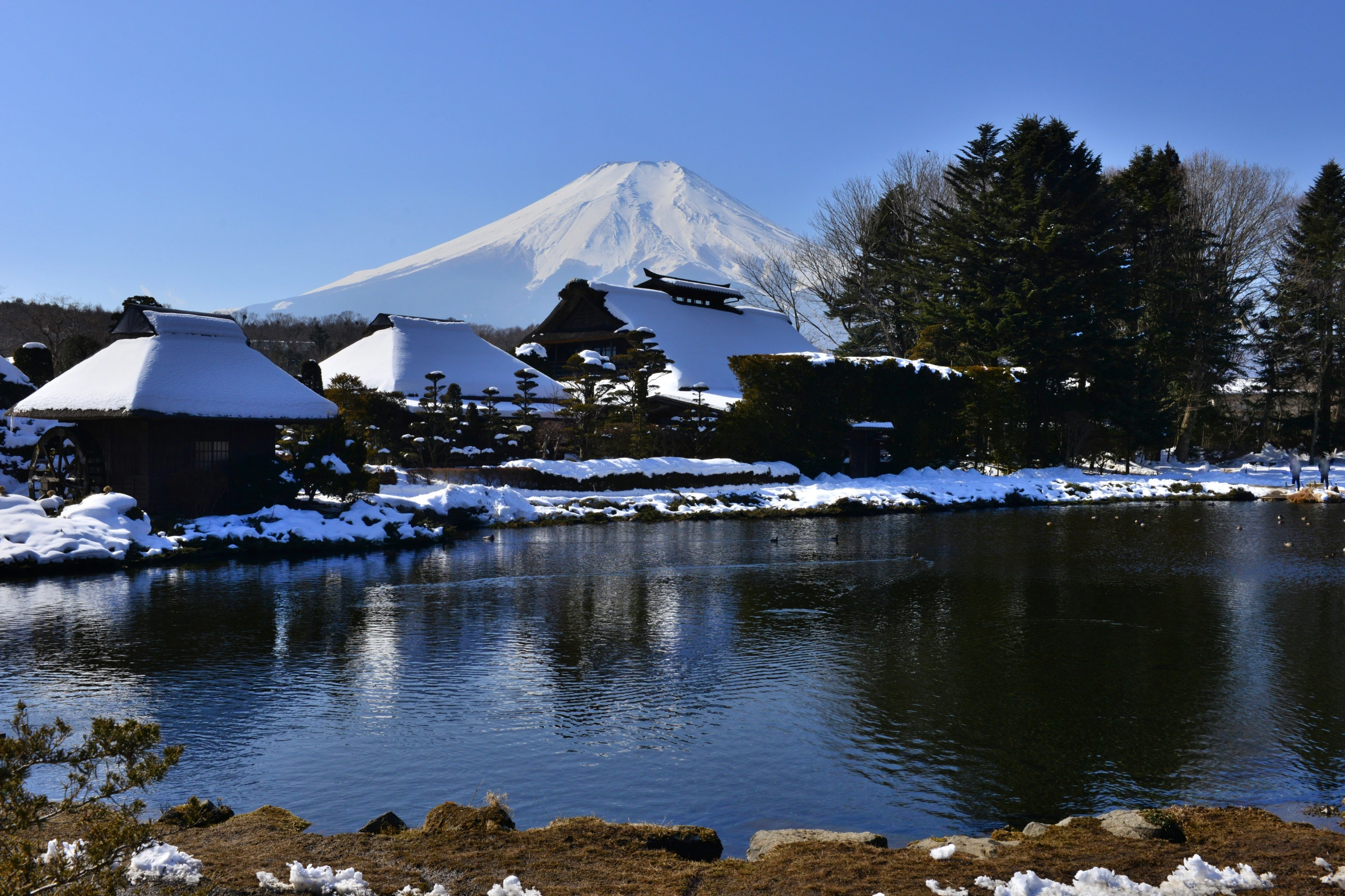Oshino_Hakka,_Yamanashi[1].webp